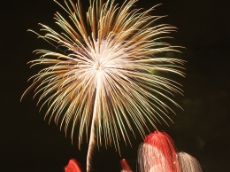 firework64a.jpg